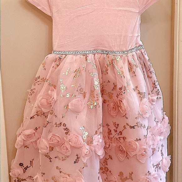NWT BlueBeri Pink Layered dress, silver/gold accents, rows of flowers - Picture 3 of 11